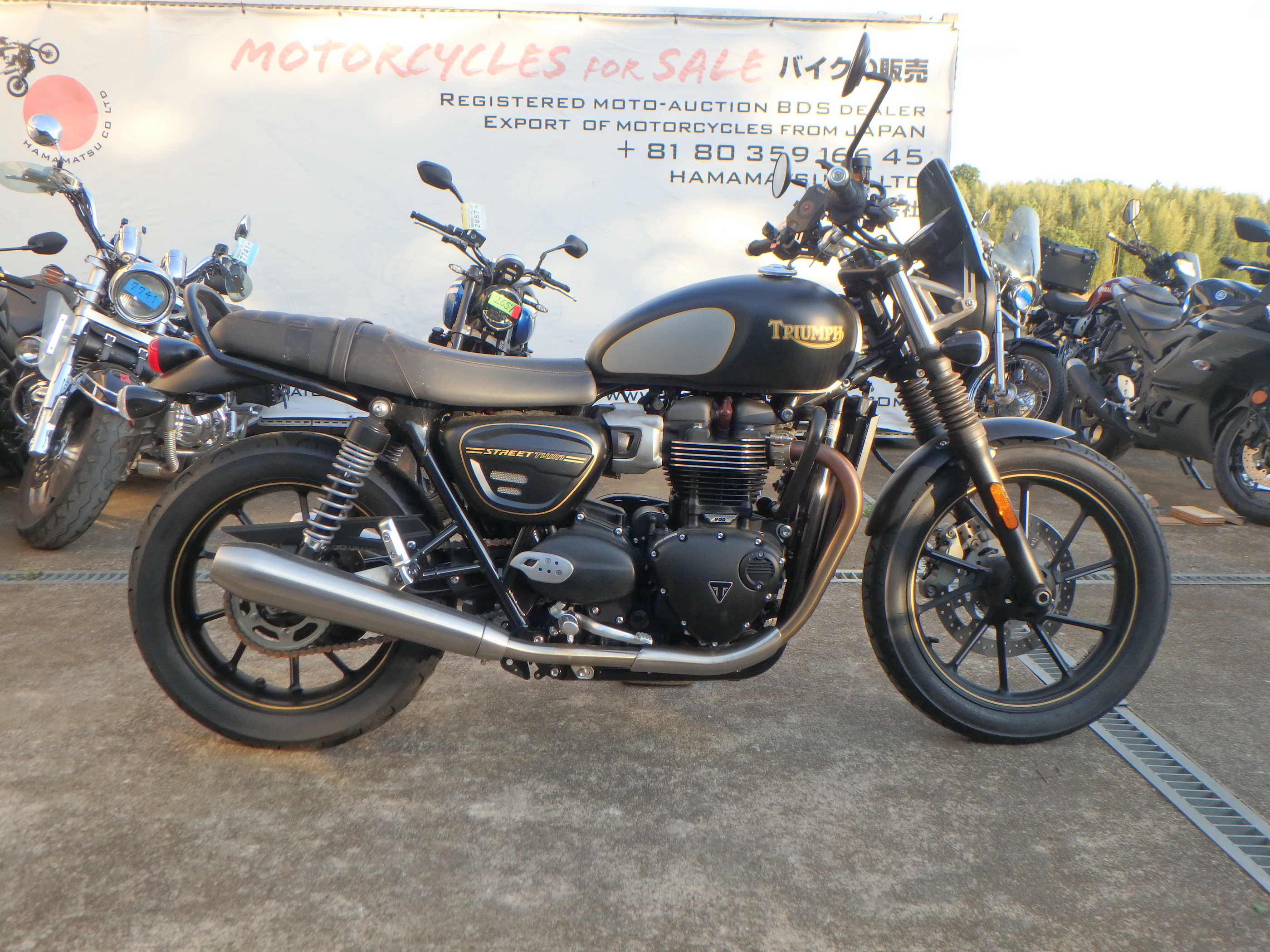 Купить мотоцикл Triumph StreetTwin 900 2022 фото 8