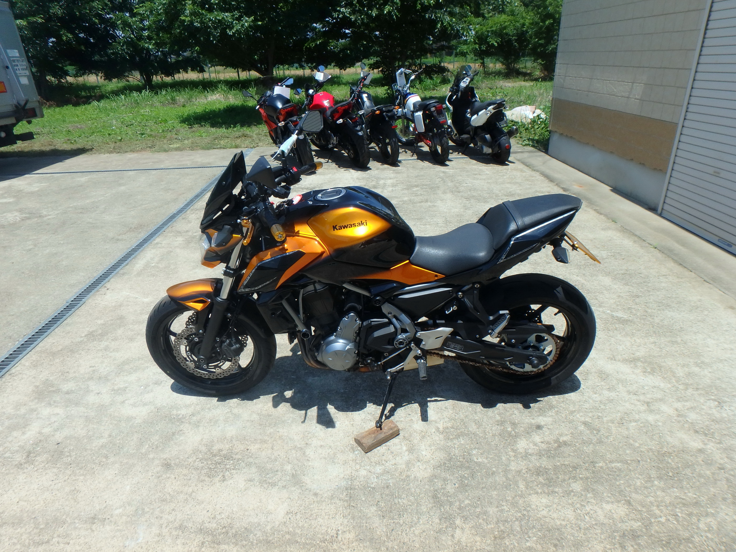 Купить мотоцикл Kawasaki Z650A 2018 фото 12