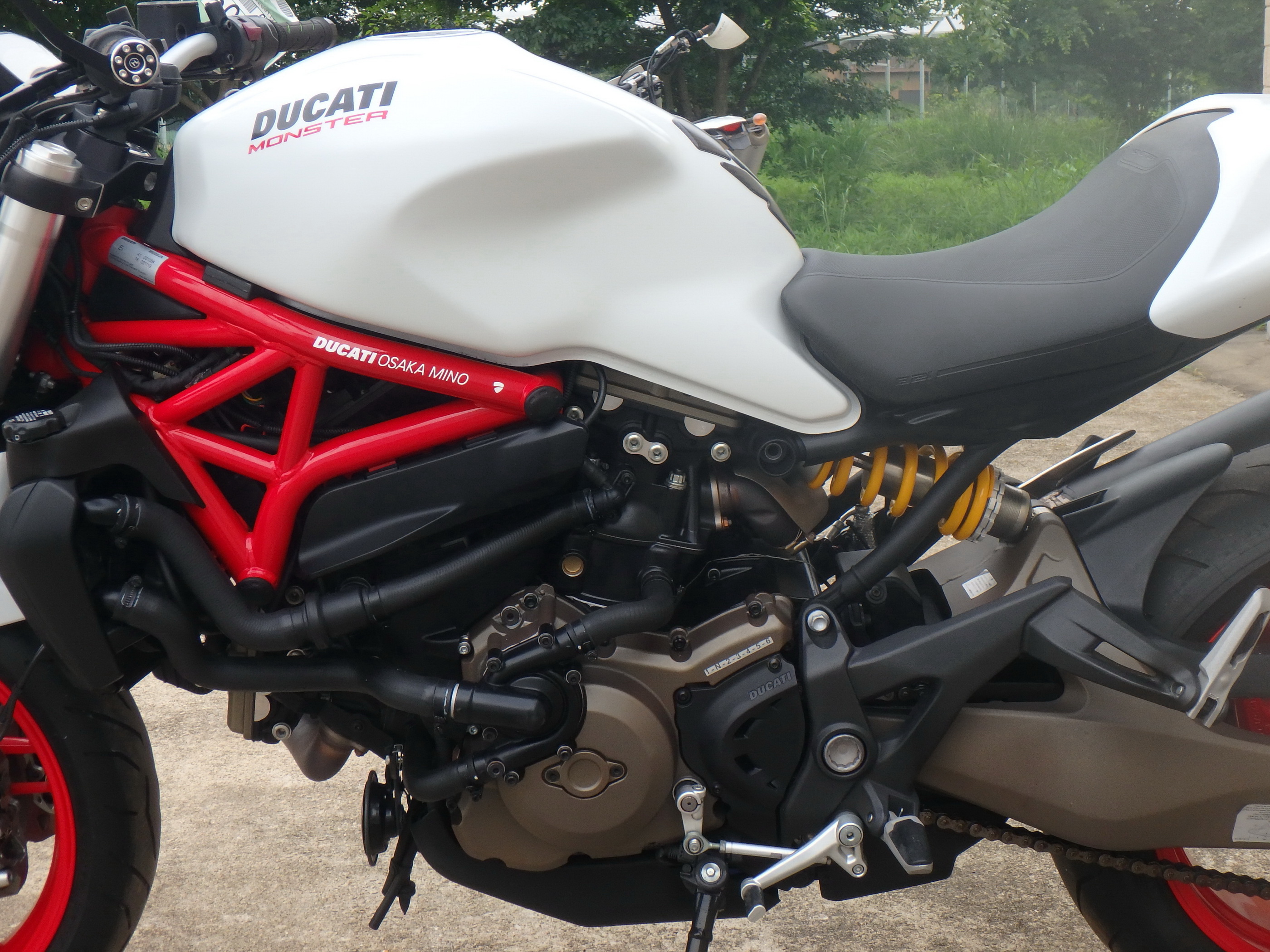 Купить мотоцикл Ducati Monster821A M821A 2014 фото 15