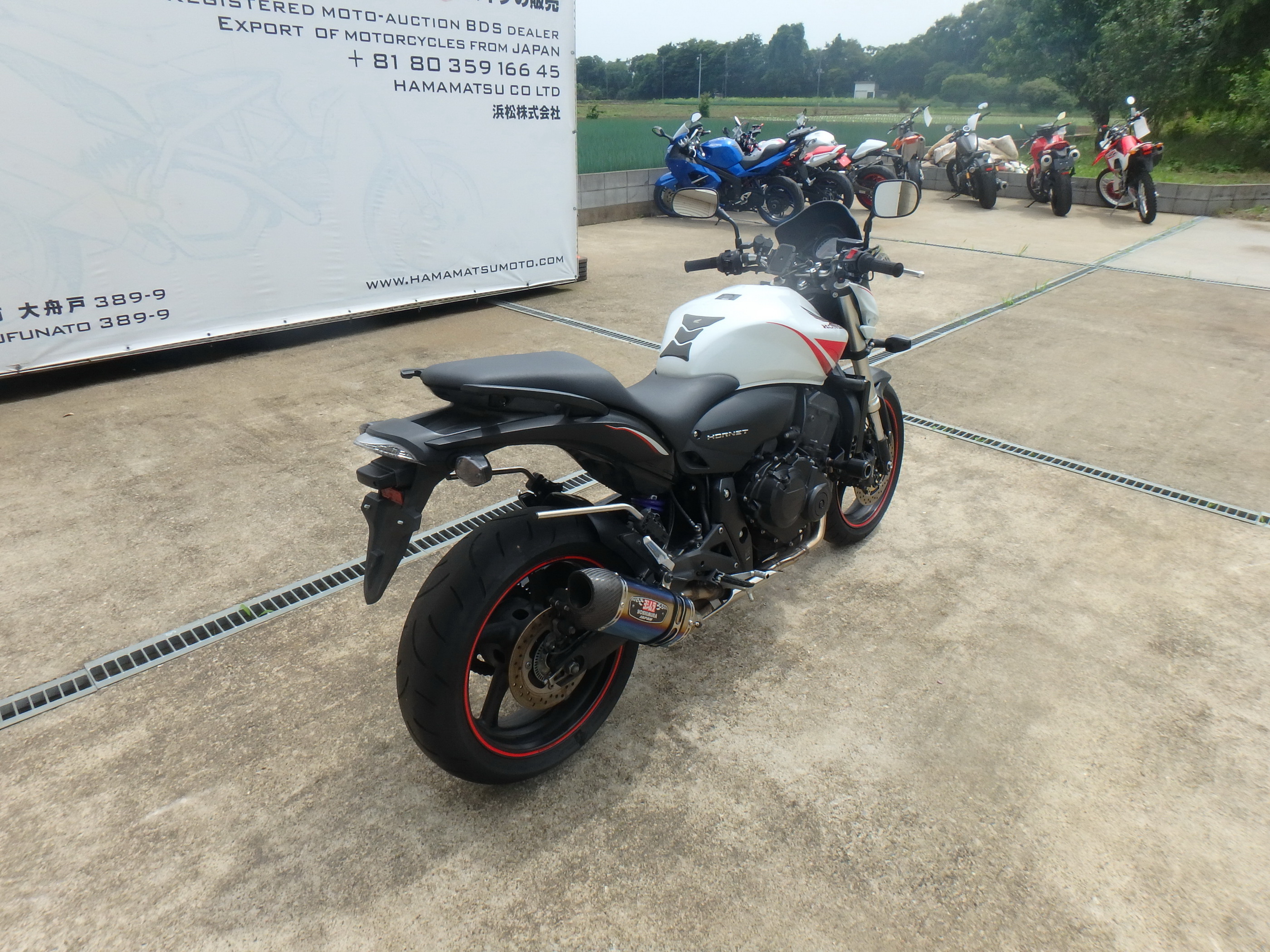 Купить мотоцикл Honda CB600FA Hornet600 ABS 2010 фото 9