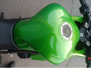     Kawasaki Ninja1000SX 2014  17