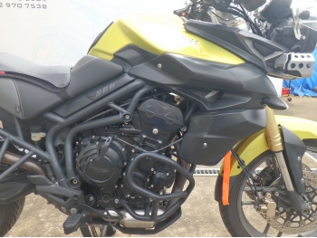     Triumph Tiger800 2012  18