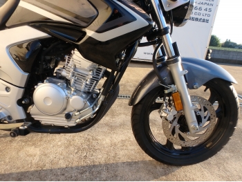     Yamaha YBR250 Fazer 2011  19