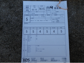 Заказать из Японии мотоцикл Honda CRF250M 2014 фото 5