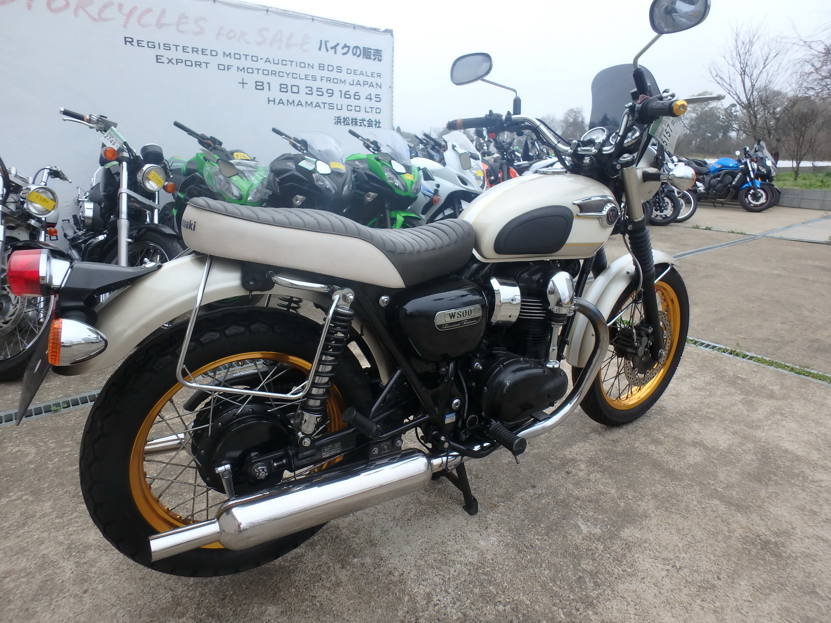 Купить мотоцикл Kawasaki W800 Limited Edition 2015 фото 9
