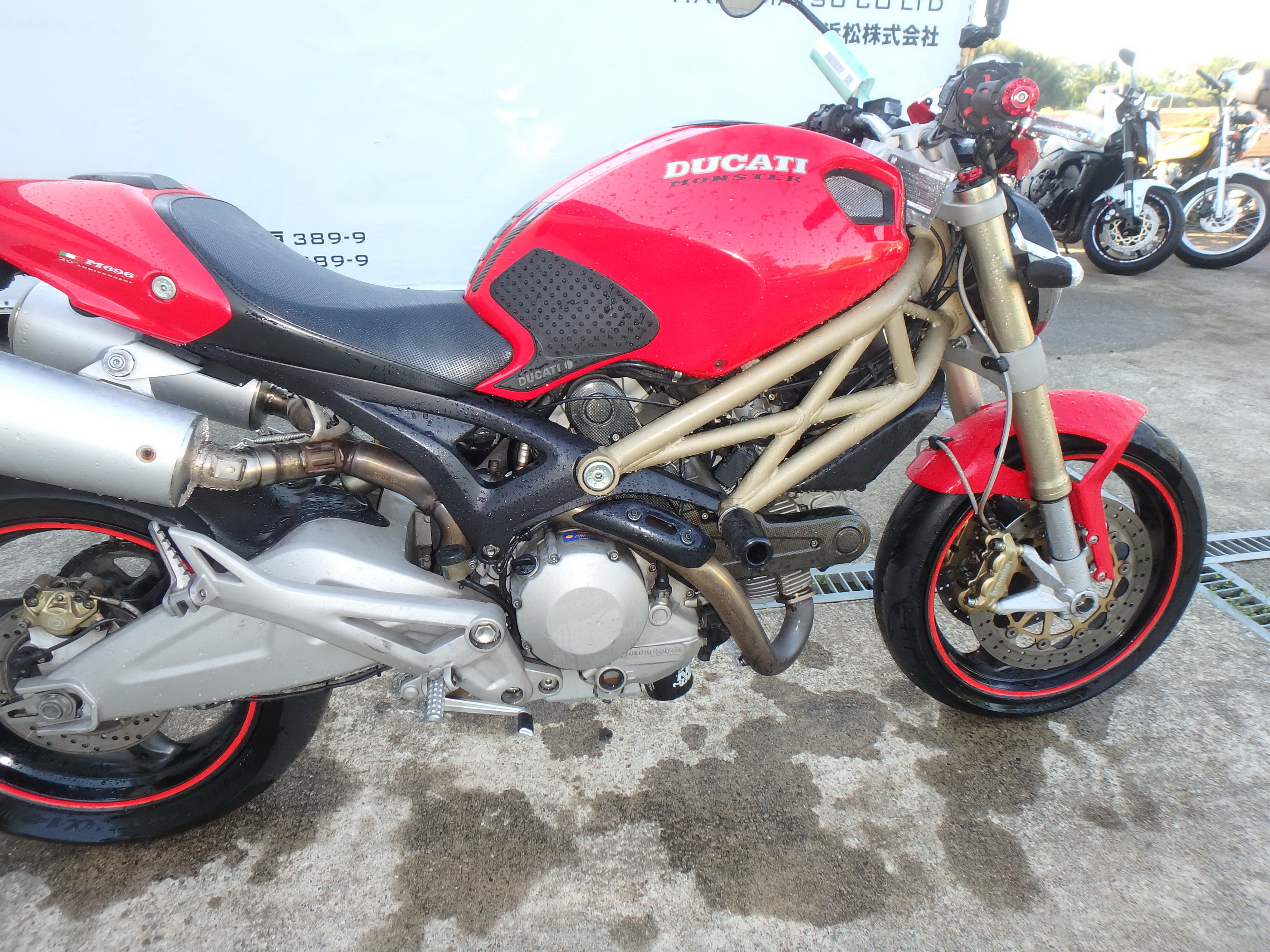 Купить мотоцикл Ducati Monster696 M696 2012 фото 17