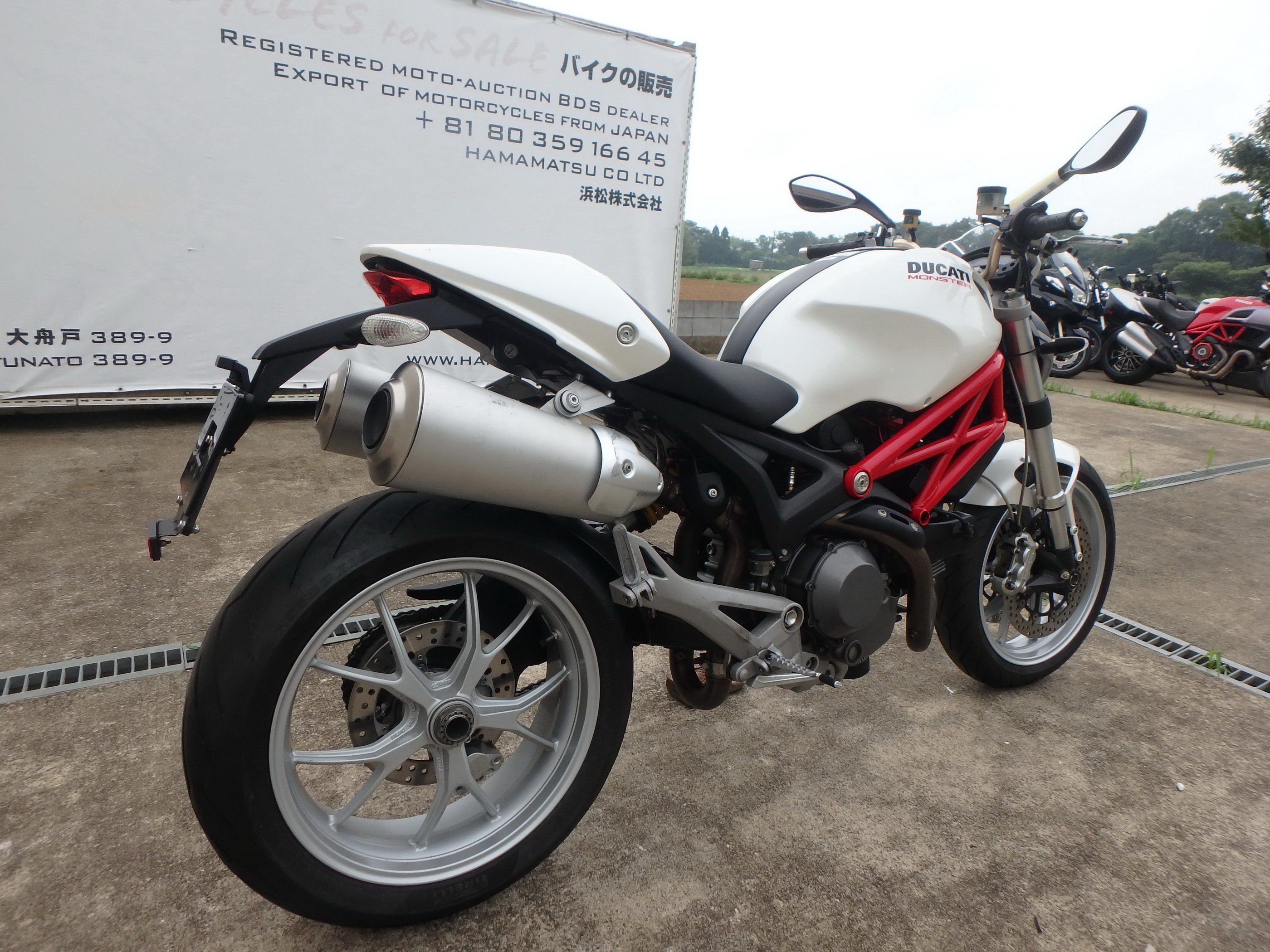 Купить мотоцикл Ducati Monster1100 M1100 2009 фото 9