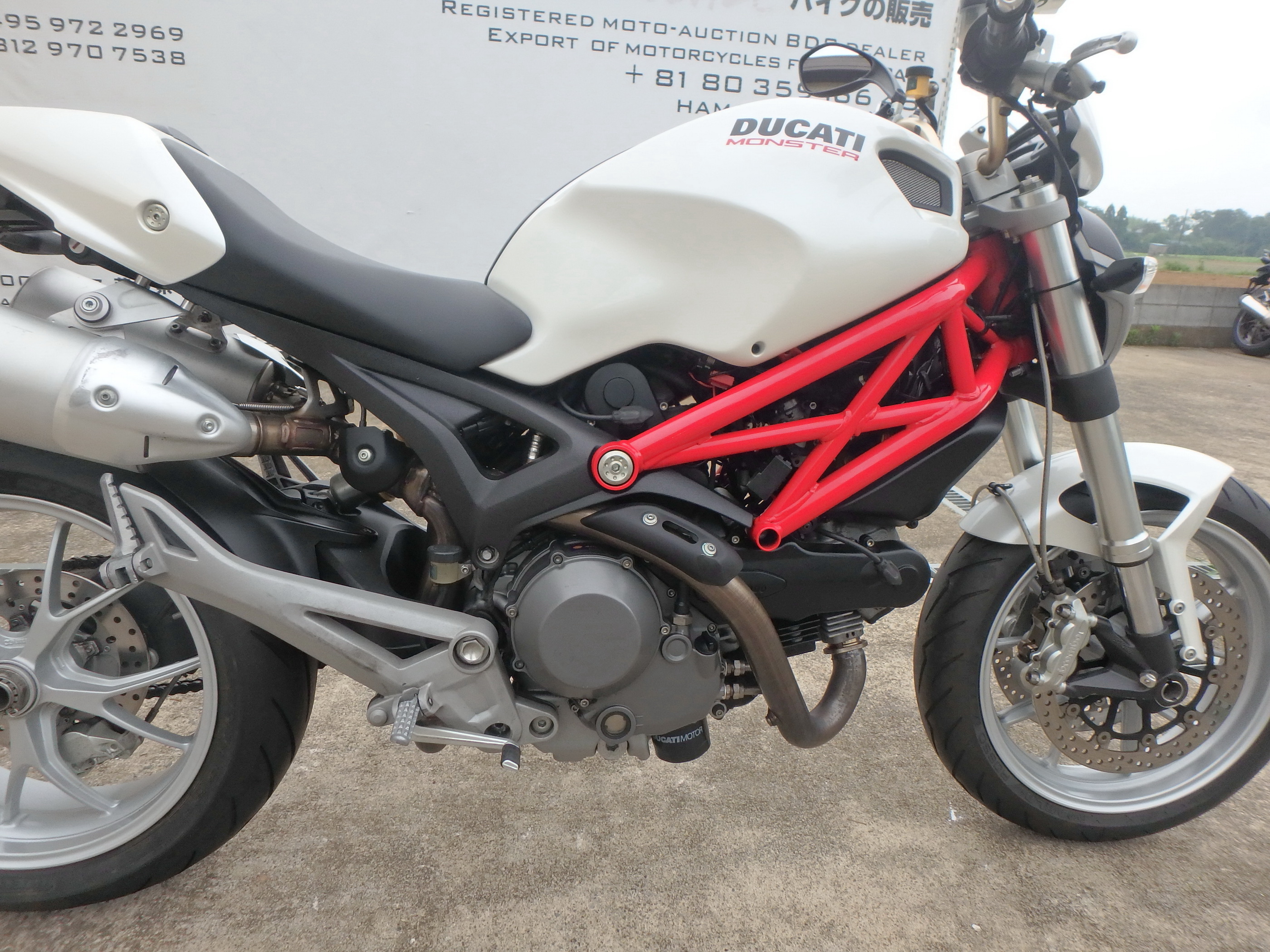 Купить мотоцикл Ducati Monster1100 M1100 2009 фото 18