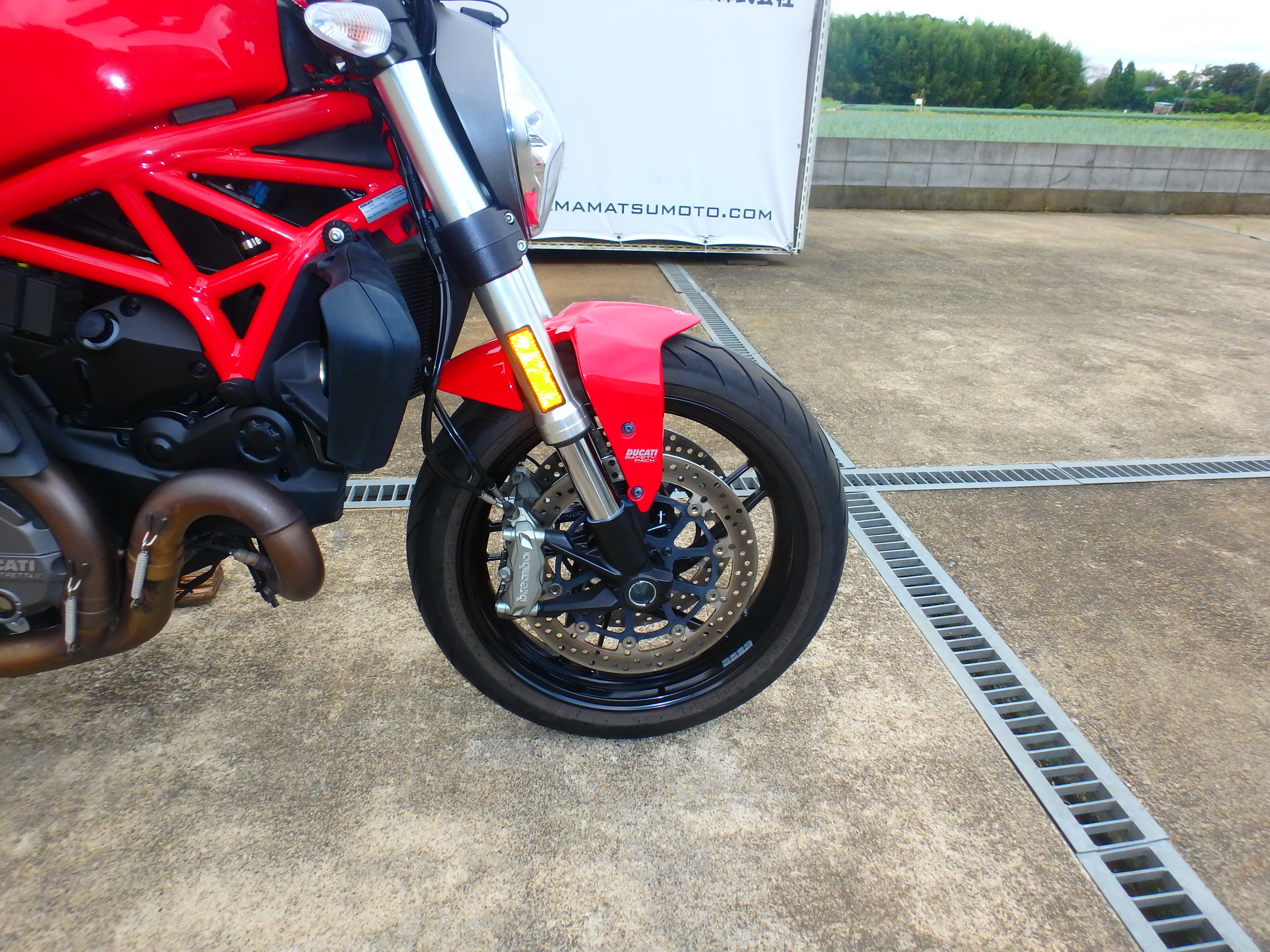 Купить мотоцикл Ducati Monster821A M821A 2018 фото 19