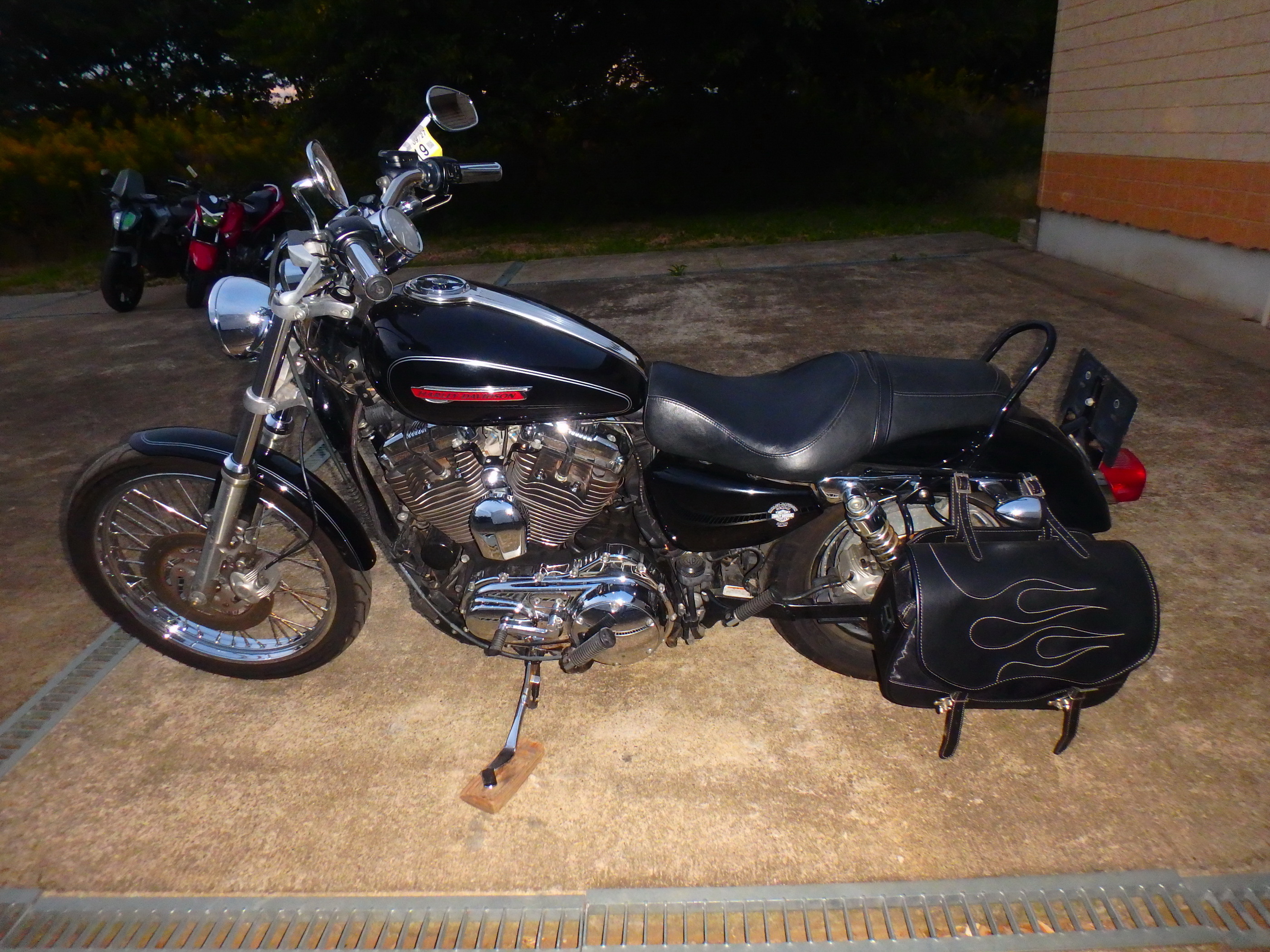 Купить мотоцикл Harley Davidson XL1200C-I Sportster Custom 2010 фото 12