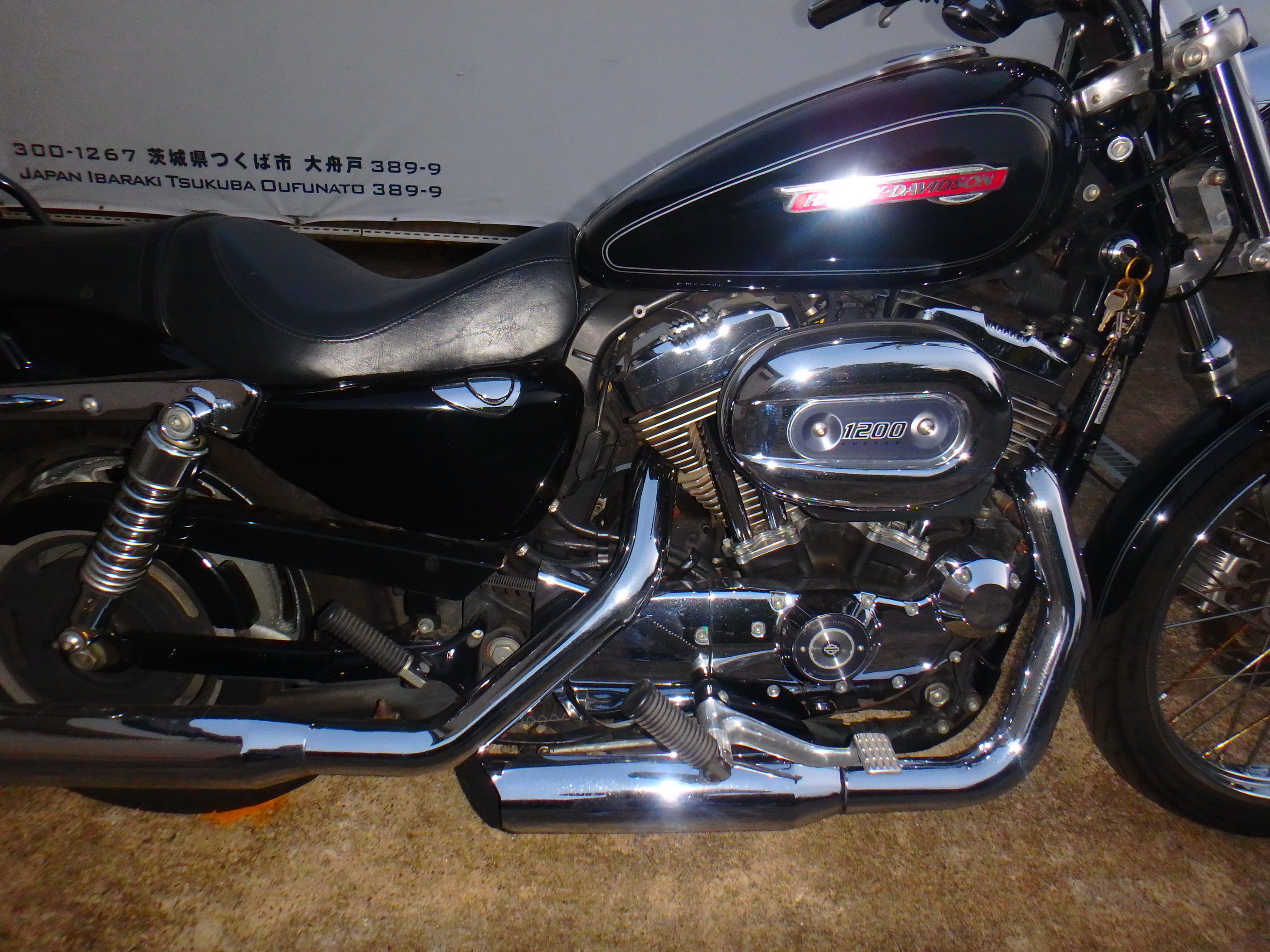 Купить мотоцикл Harley Davidson XL1200C-I Sportster Custom 2010 фото 18