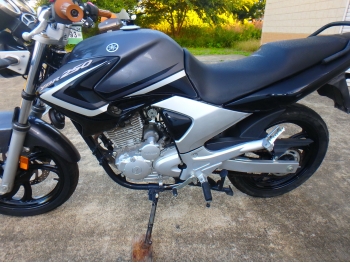 Заказать из Японии мотоцикл Yamaha YBR250 2010 фото 15
