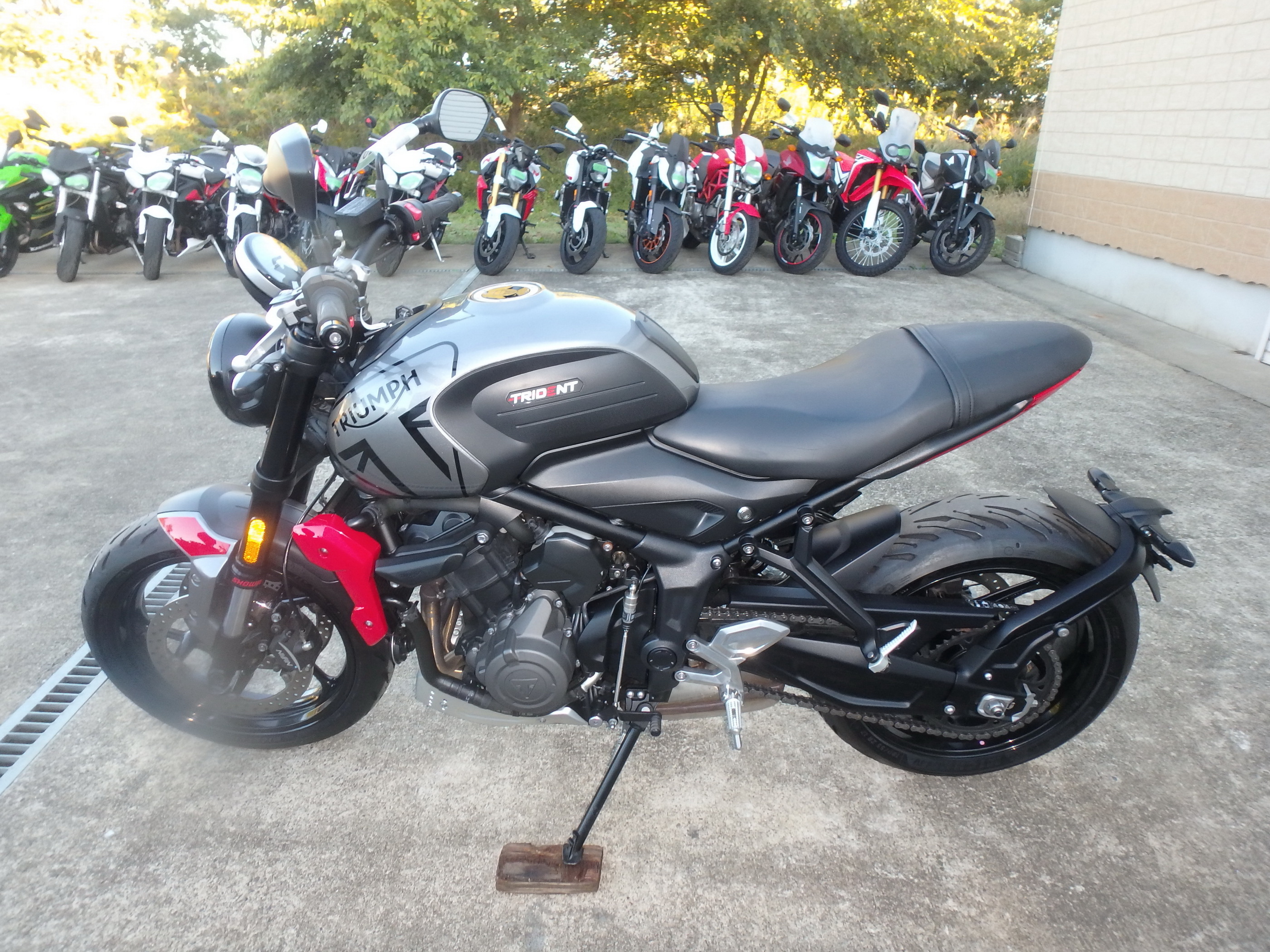 Купить мотоцикл Triumph Trident 660 2021 фото 12