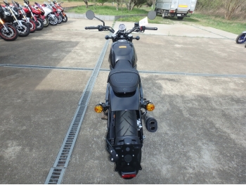     Harley Davidson X500 2024  9