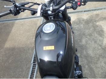     Harley Davidson X500 2024  21