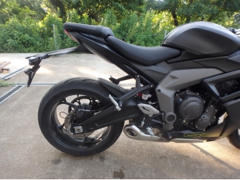     Triumph Daytona660 2024  12