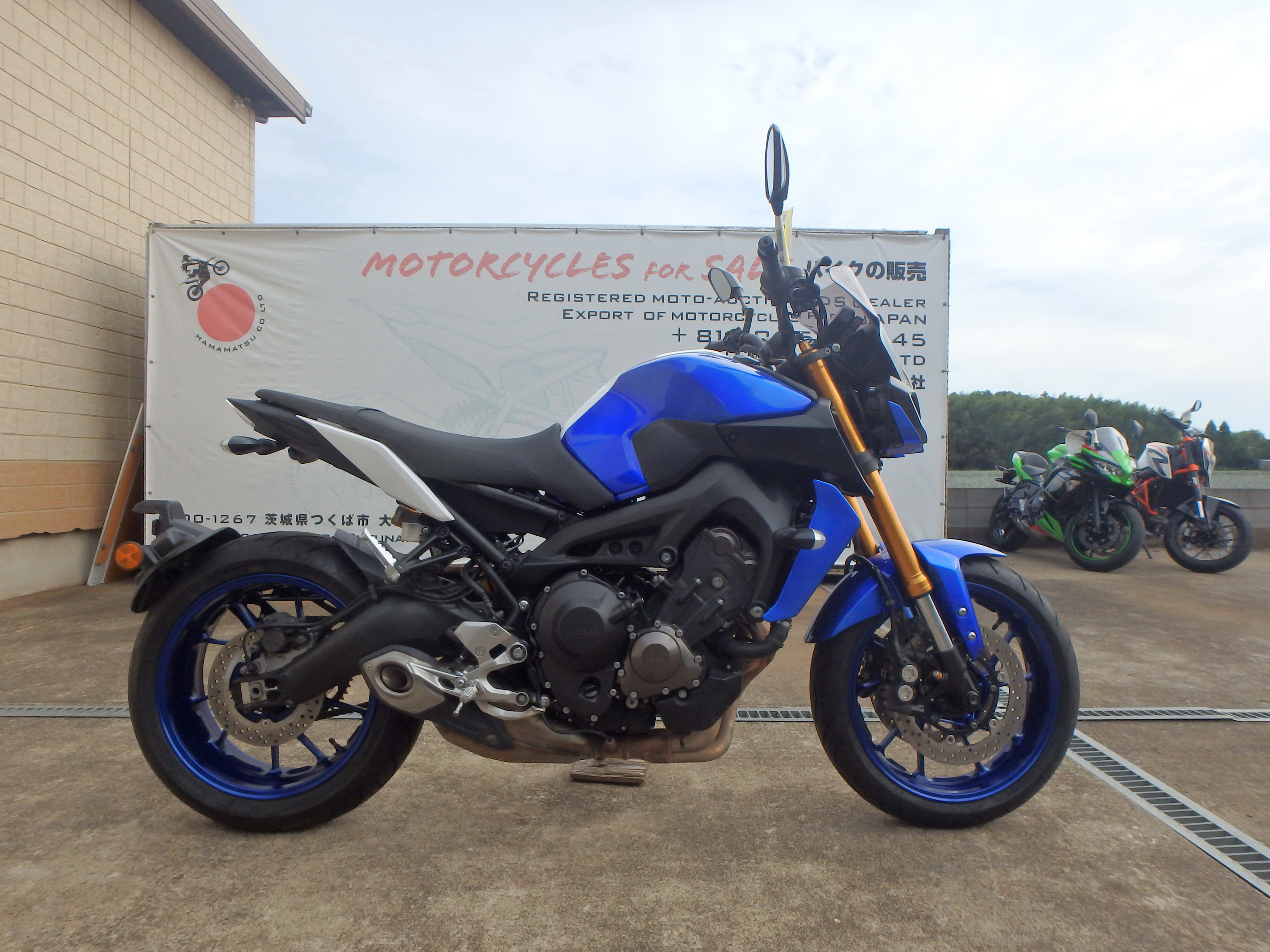 Купить мотоцикл Yamaha MT-09ASP FZ-09ASP 2018 фото 8