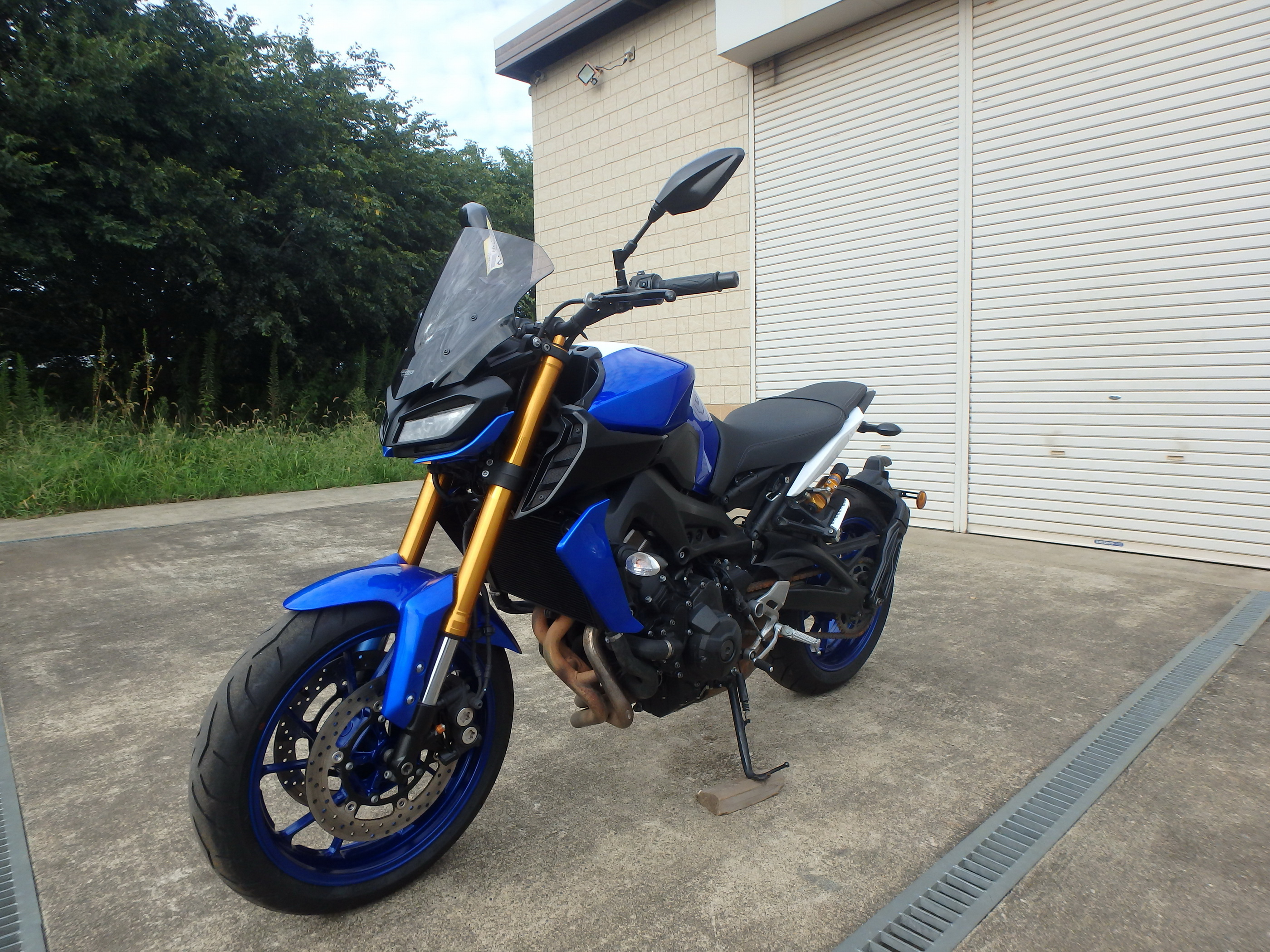 Купить мотоцикл Yamaha MT-09ASP FZ-09ASP 2018 фото 13