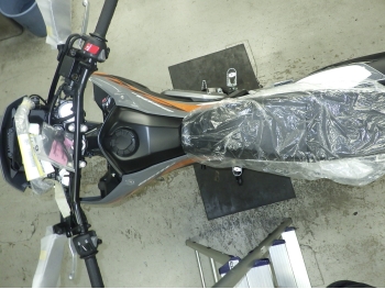     Honda CRF250L-2 ABS 2024  3