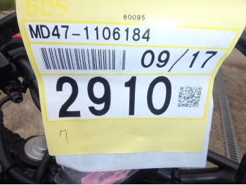     Honda CRF250L-2 ABS 2024  4