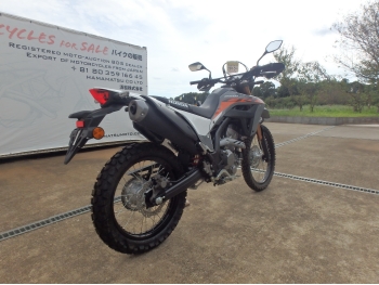     Honda CRF250L-2 ABS 2024  9
