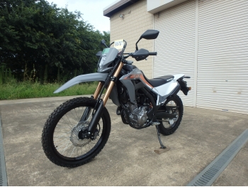     Honda CRF250L-2 ABS 2024  13
