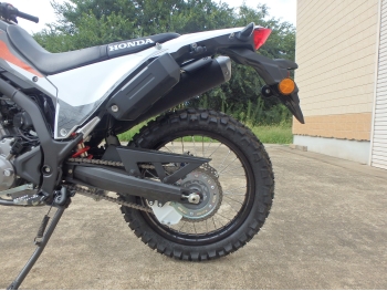     Honda CRF250L-2 ABS 2024  16