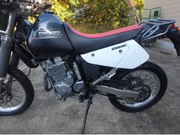     Suzuki Djebel250XC DR250 2004  15