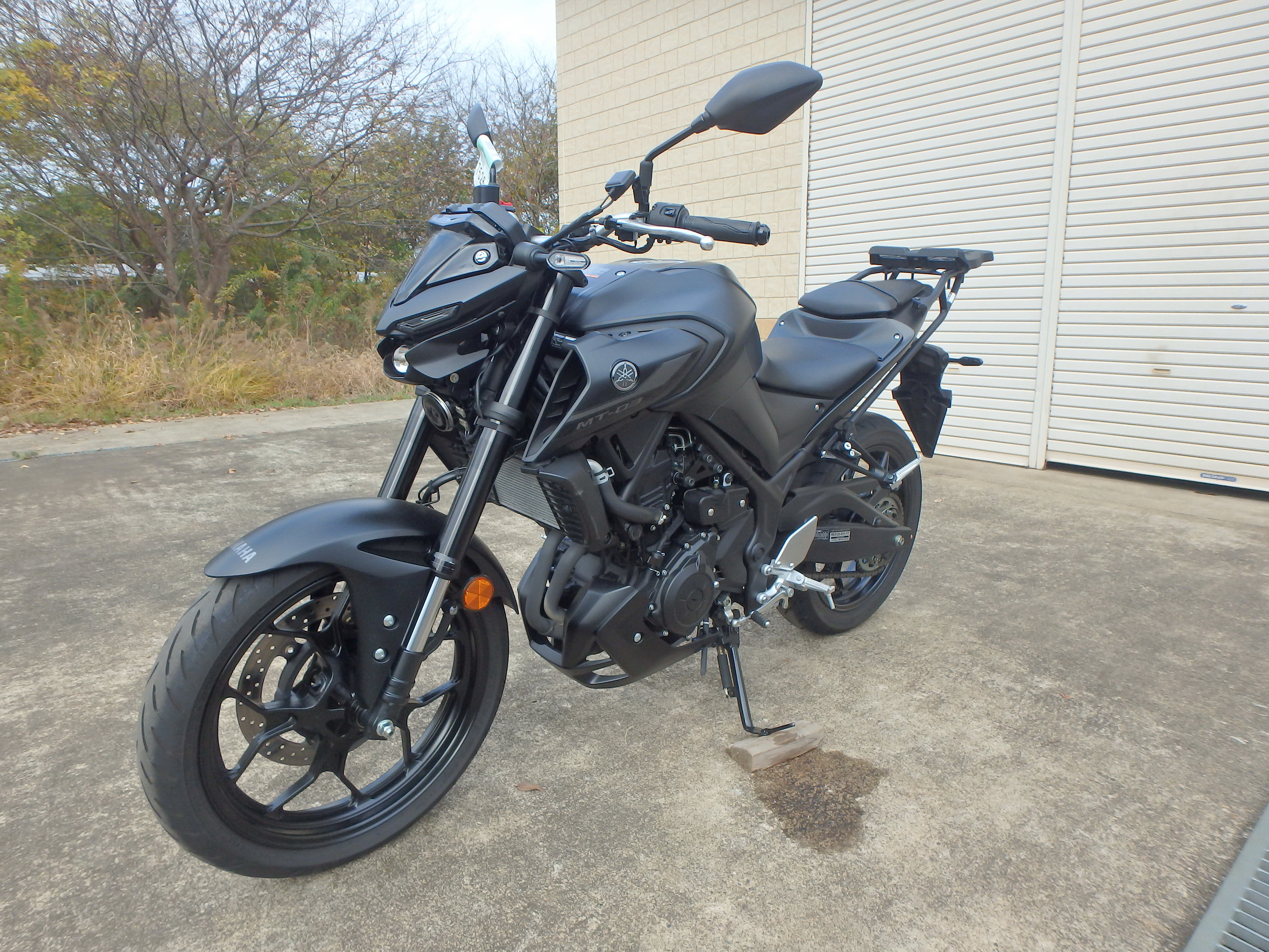 Купить мотоцикл Yamaha MT-03A / FZ-03A 2023 фото 13