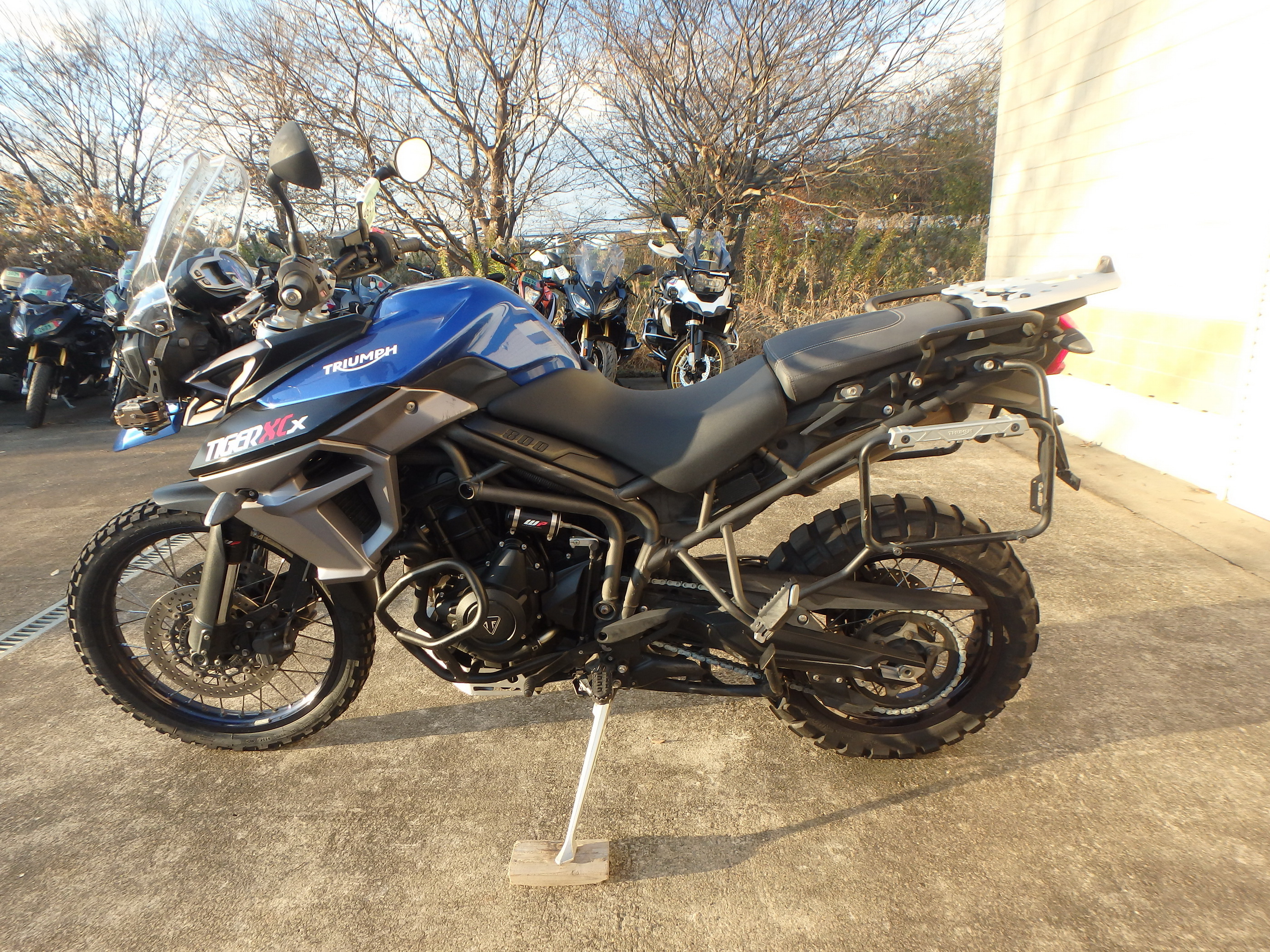 Купить мотоцикл Triumph Tiger800XCX 2017 фото 12