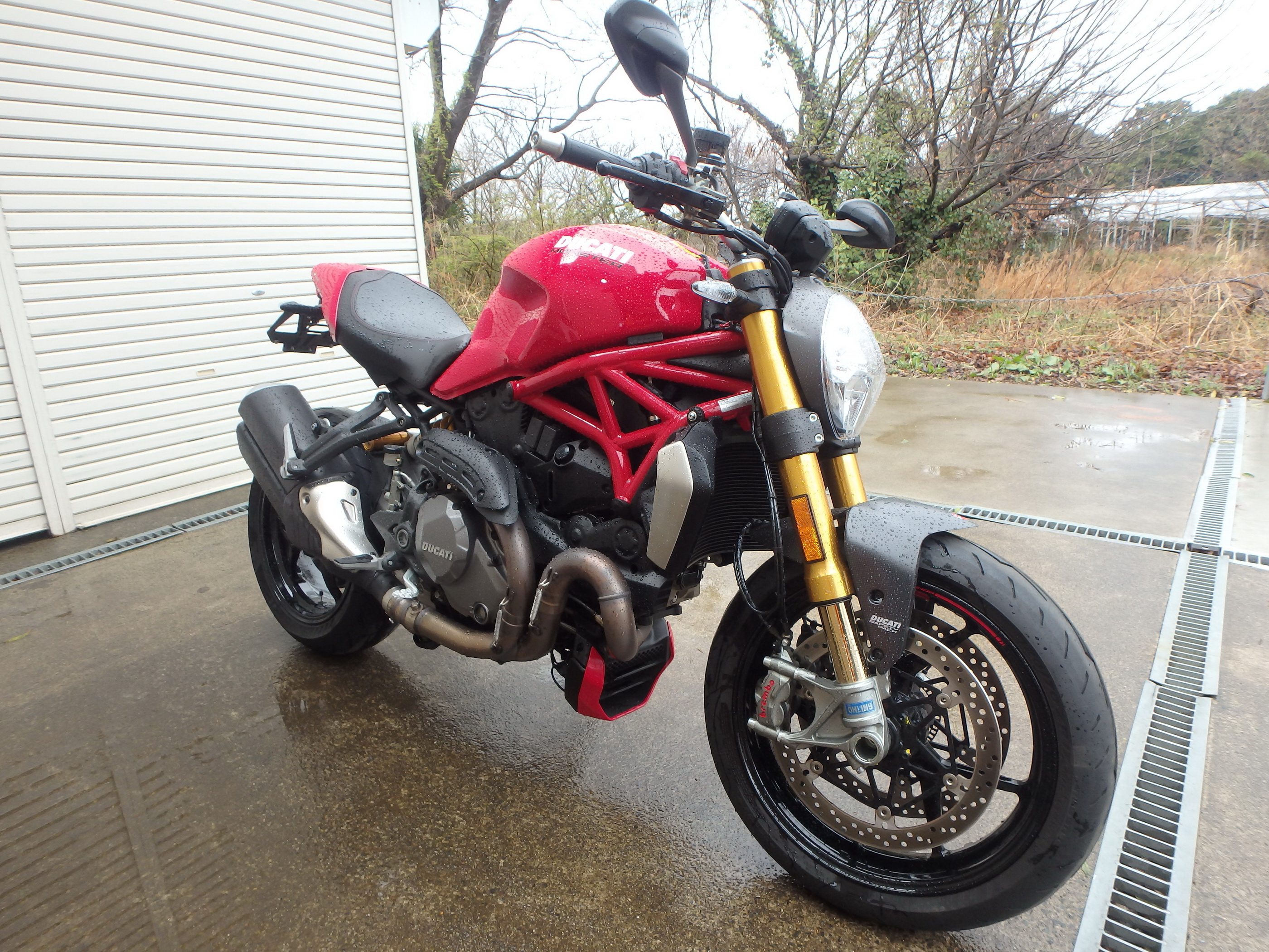 Купить мотоцикл Ducati Monster1200S M1200S 2020 фото 2