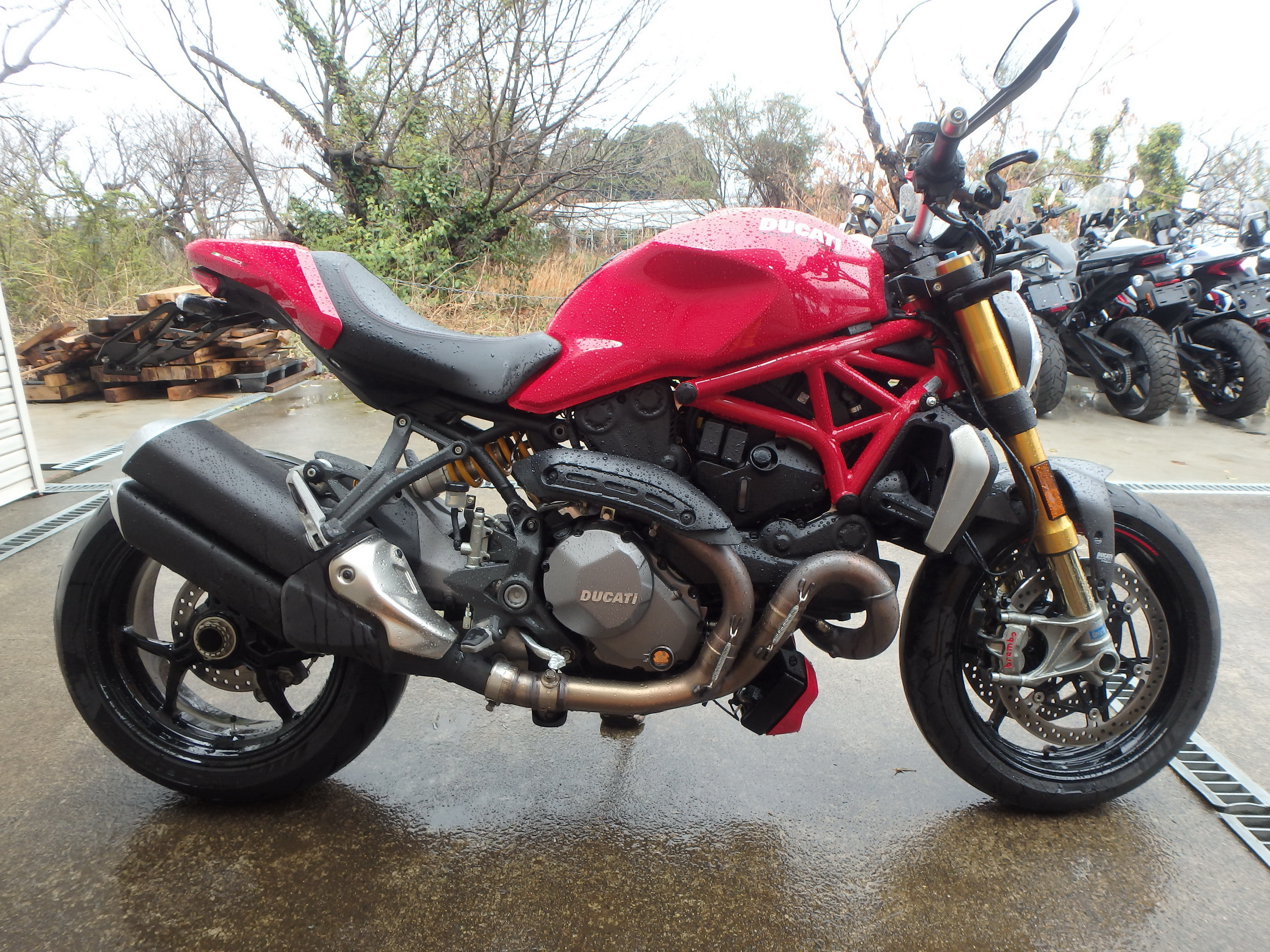Купить мотоцикл Ducati Monster1200S M1200S 2020 фото 3