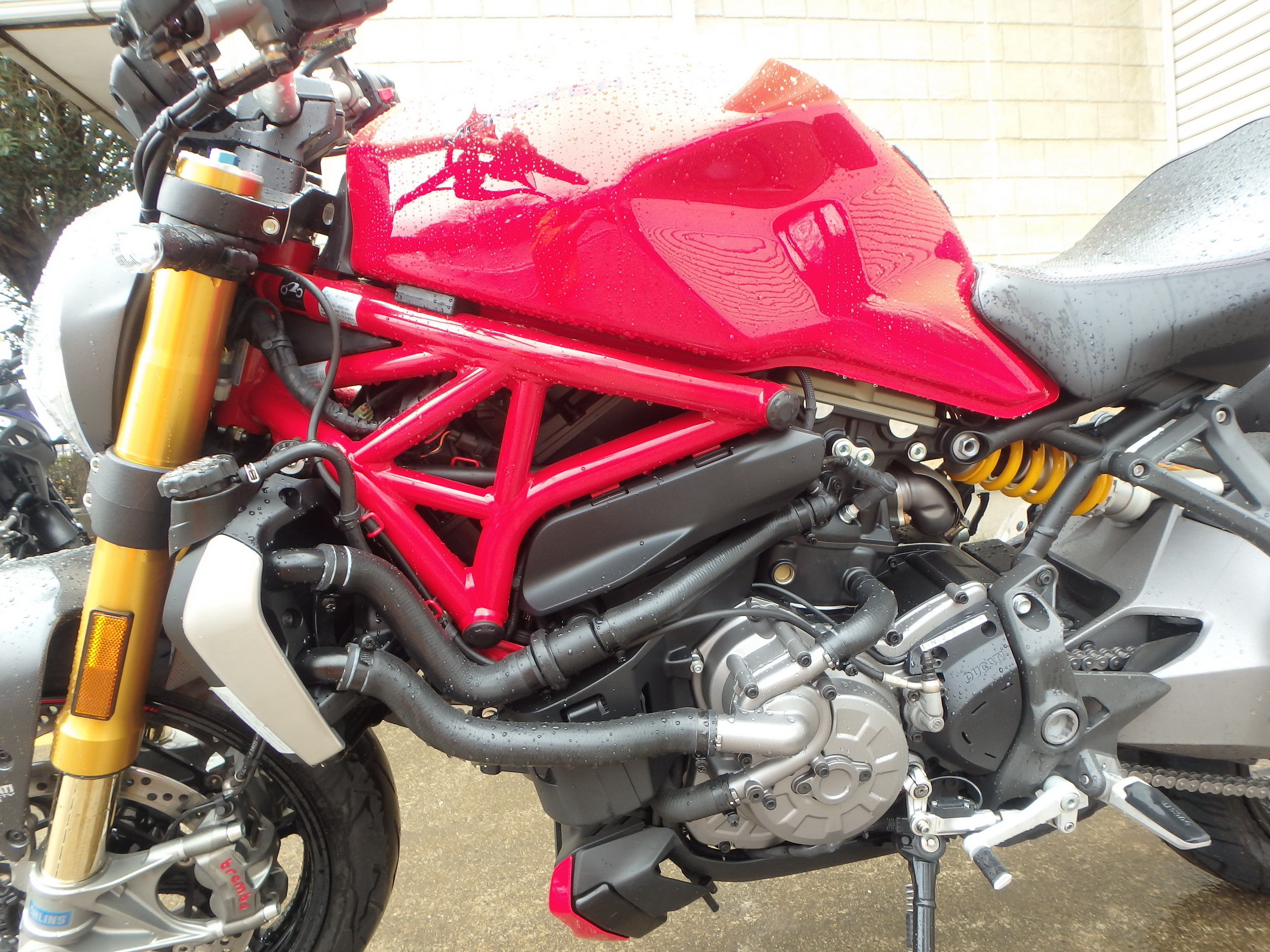 Купить мотоцикл Ducati Monster1200S M1200S 2020 фото 10