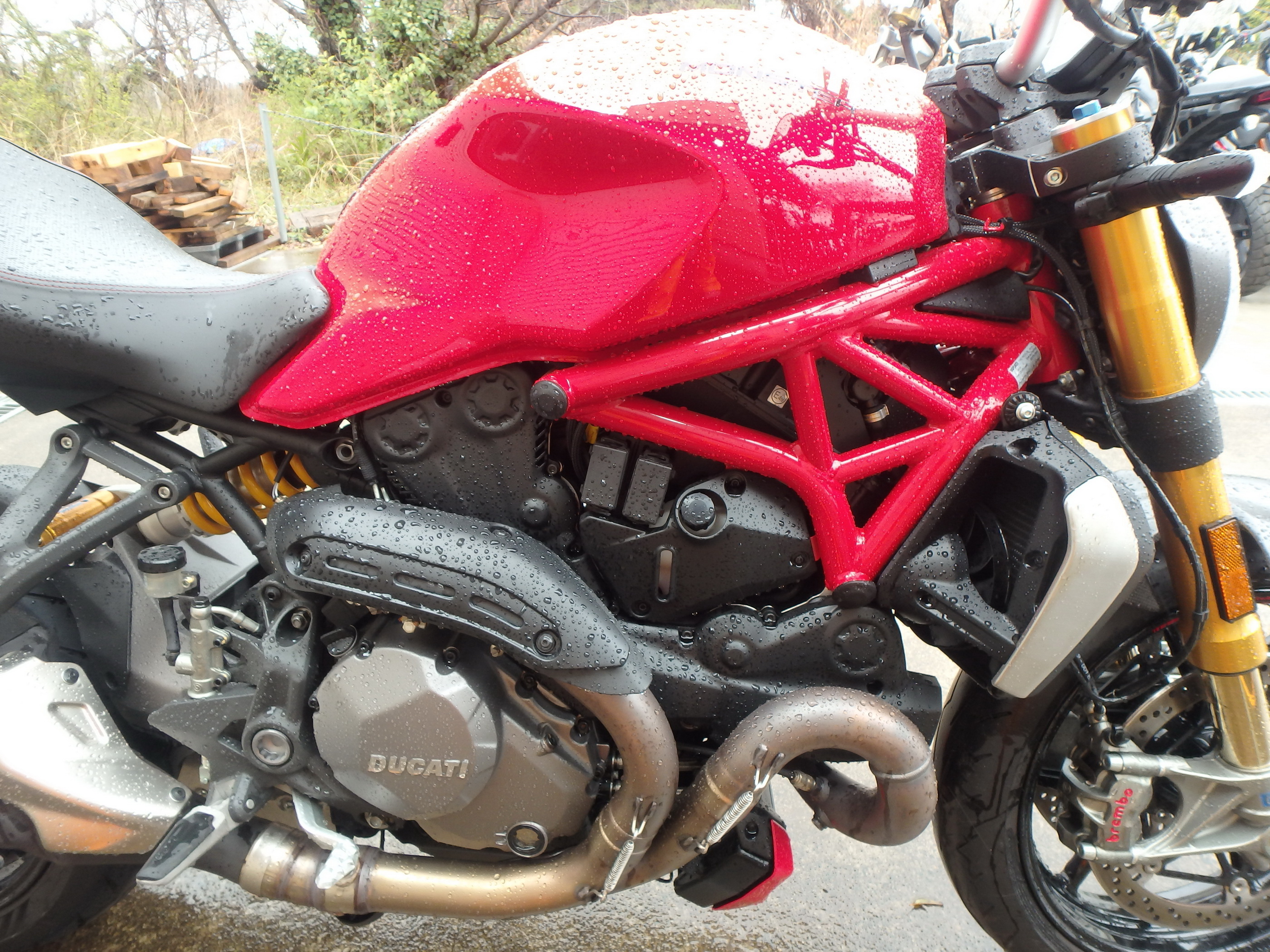 Купить мотоцикл Ducati Monster1200S M1200S 2020 фото 13