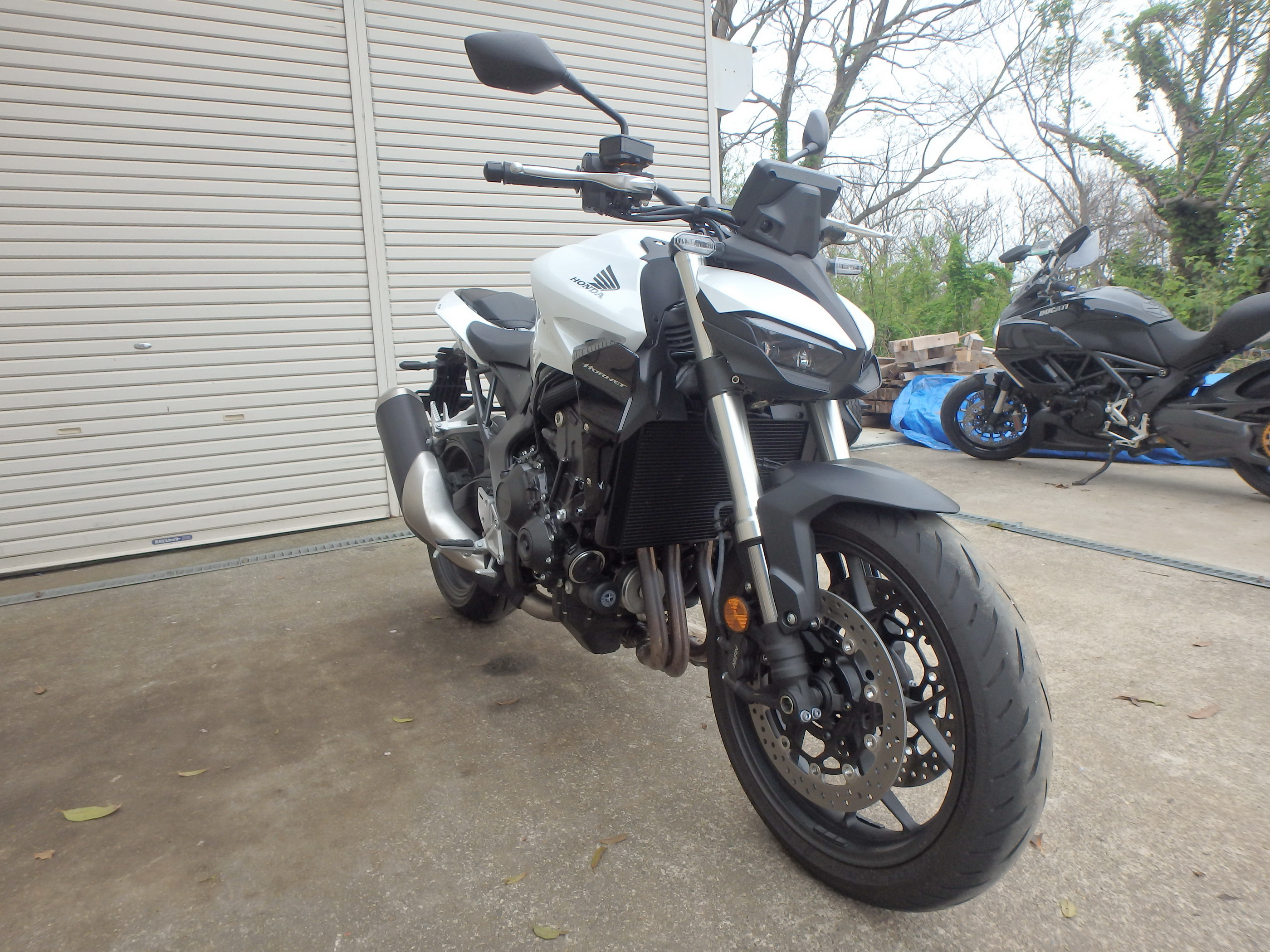 Купить мотоцикл Honda CB1000 Hornet 2025 фото 2