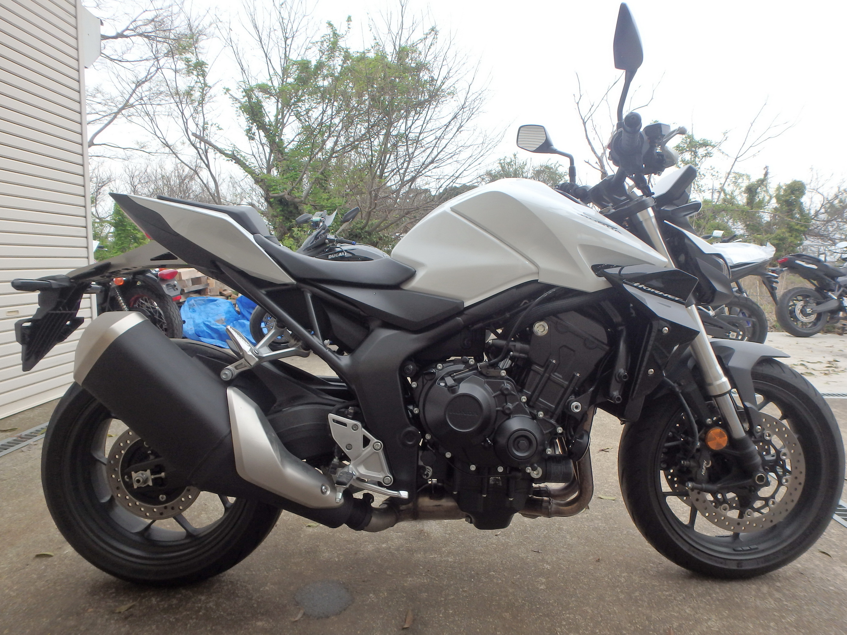 Купить мотоцикл Honda CB1000 Hornet 2025 фото 3