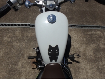 �������� �� ������ �������� Honda VT750S 2010 ���� 22