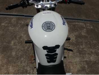 �������� �� ������ �������� Triumph SpeedTriple 1050 2009 ���� 22