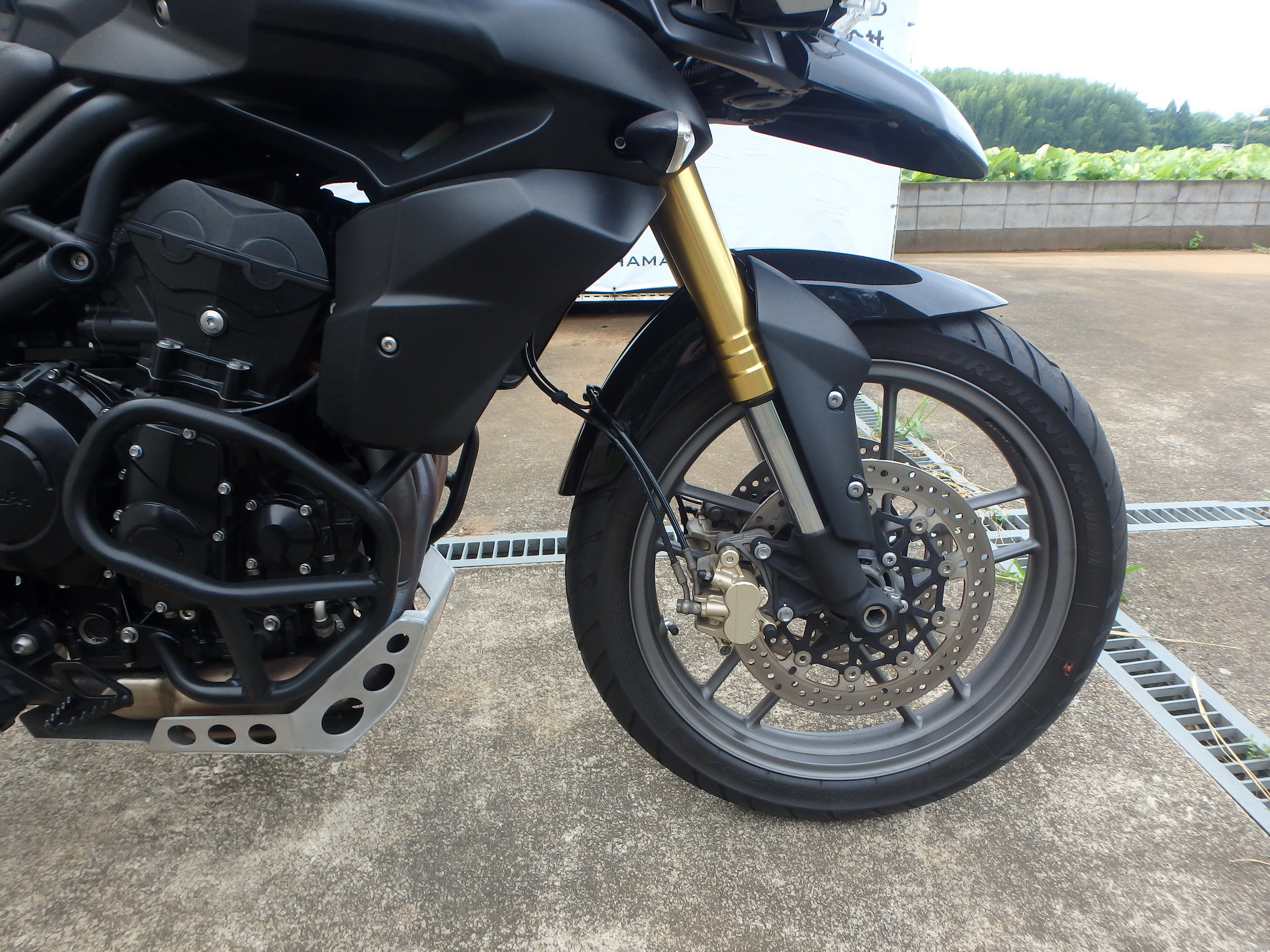 Купить мотоцикл Triumph Tiger800 2013 фото 20