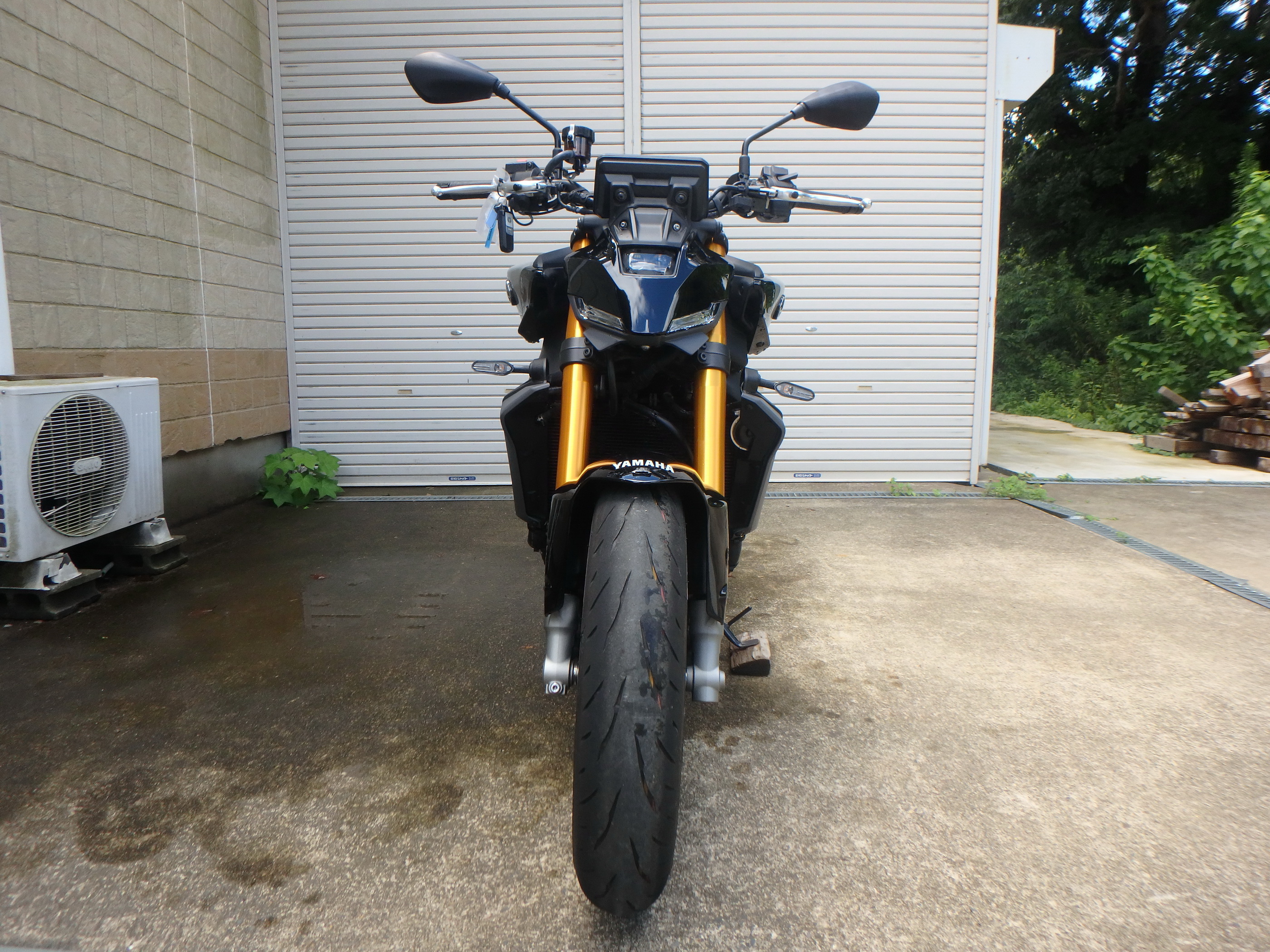 Купить мотоцикл Yamaha MT-09-2SP 2024 фото 1