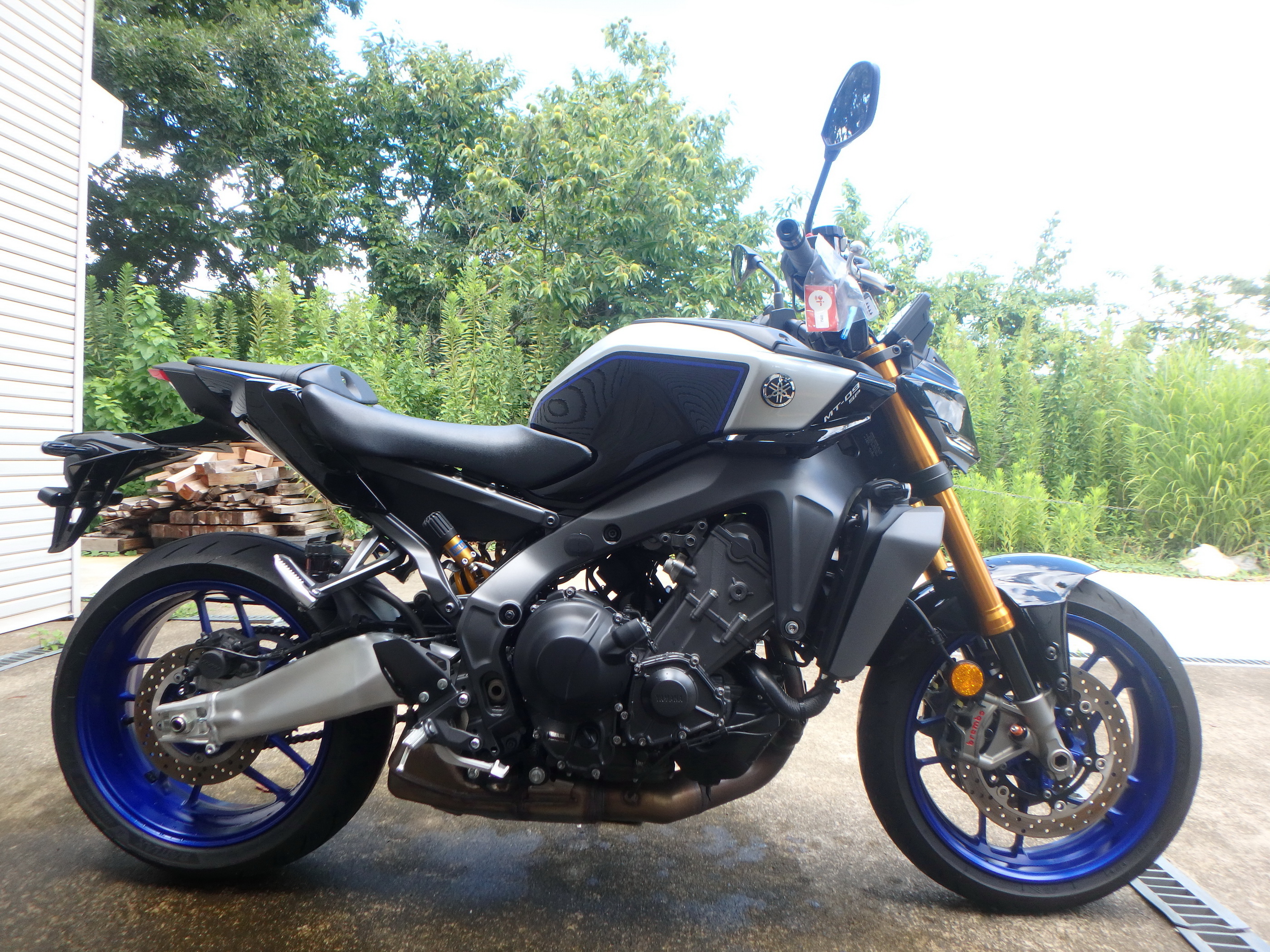 Купить мотоцикл Yamaha MT-09-2SP 2024 фото 3