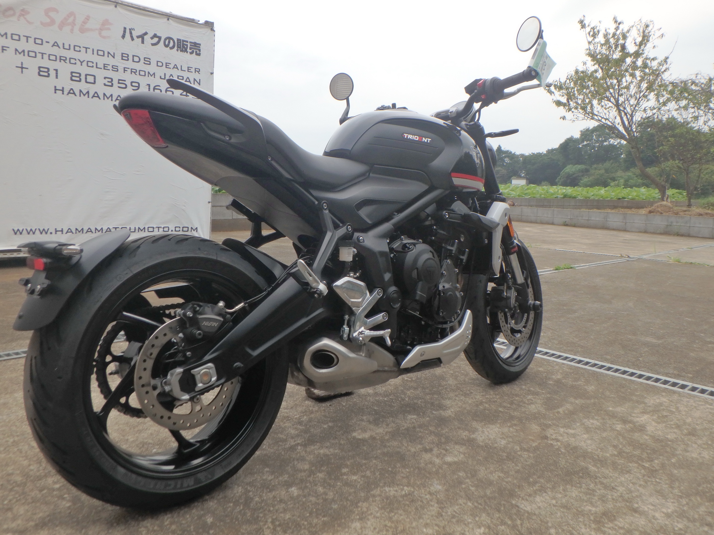 Купить мотоцикл Triumph Trident 660 2024 фото 9