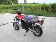     Suzuki PV50 EPO 1996  8