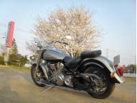 �������� �� ������ �������� Yamaha WildStar1600  1999 ���� 9