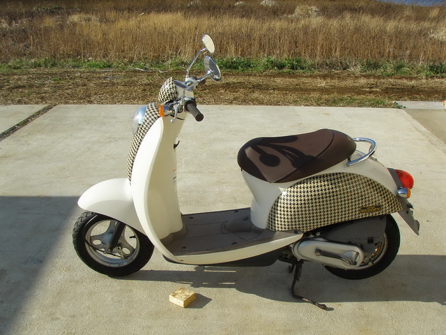 Honda crea Scoopy Custom