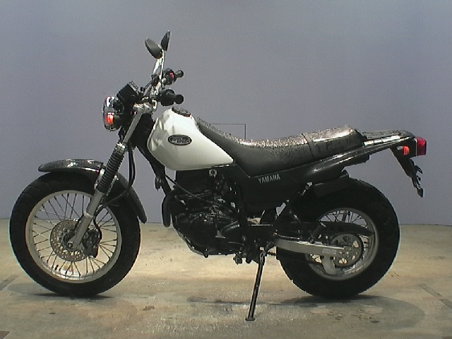 Yamaha TW 200 В лесу