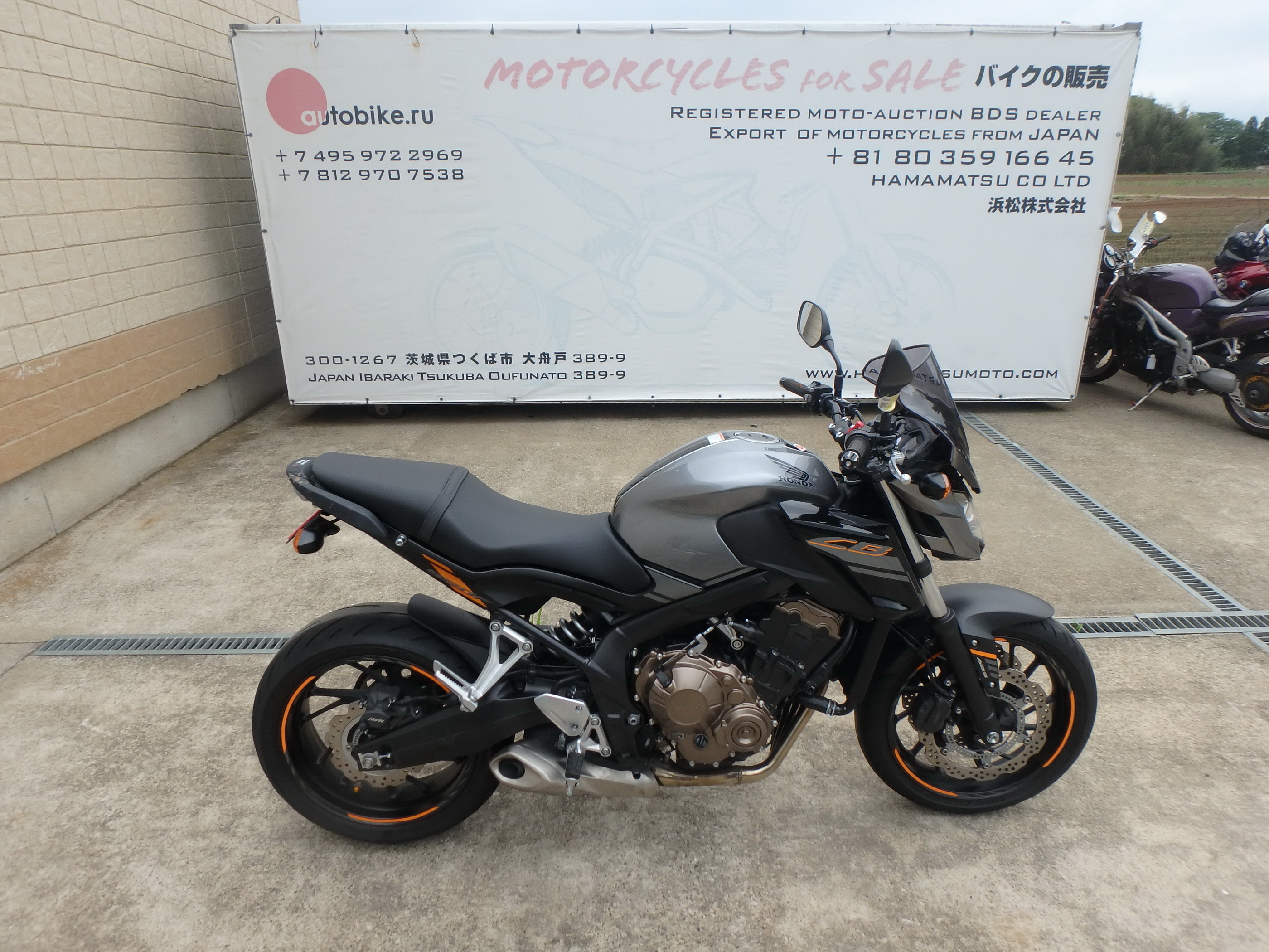 Купить мотоцикл Honda CB 650F Hornet650 CB650F 2018 фото 8