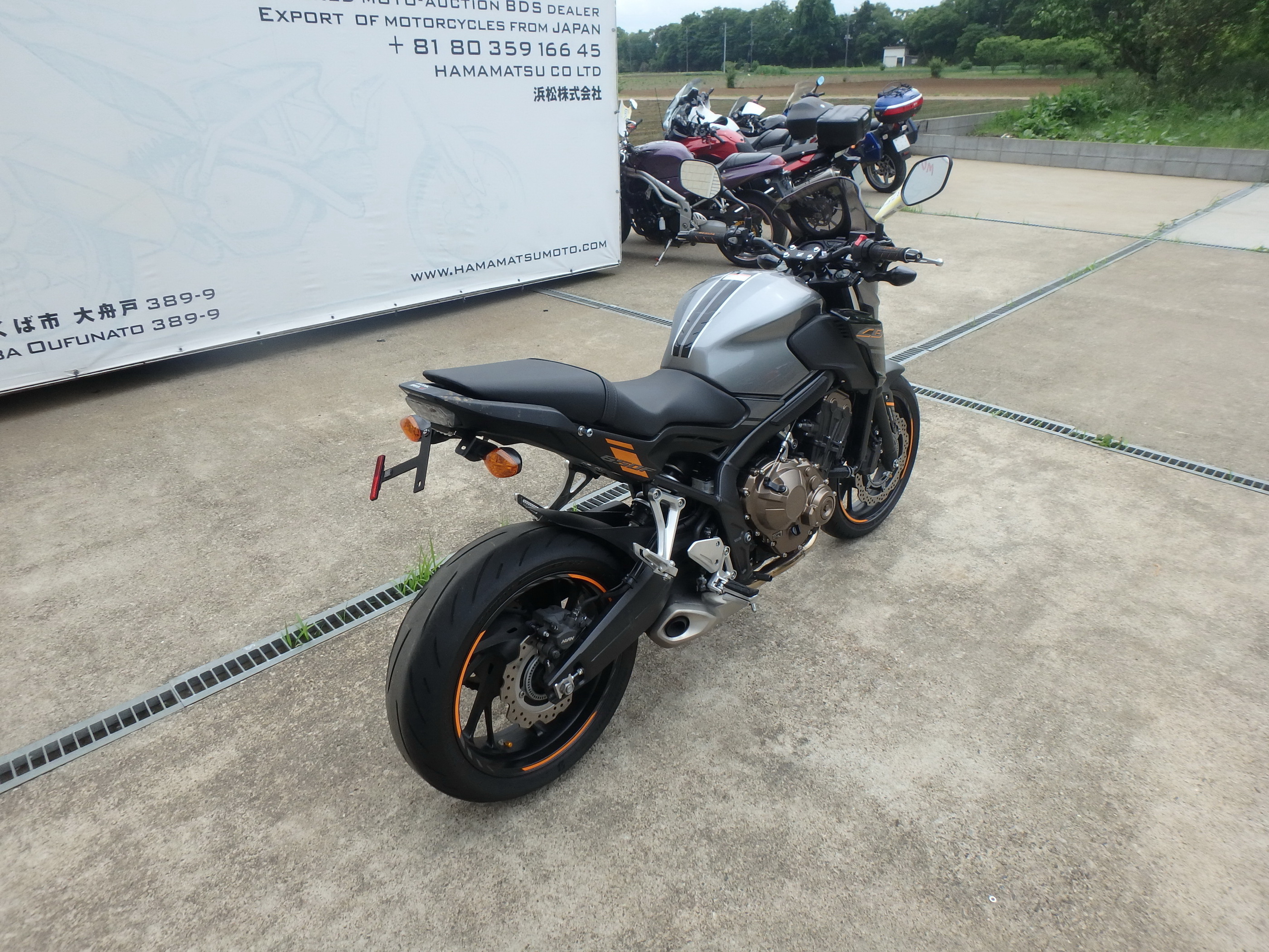 Купить мотоцикл Honda CB 650F Hornet650 CB650F 2018 фото 9