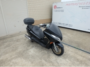     Honda Forza ZA 2008  7