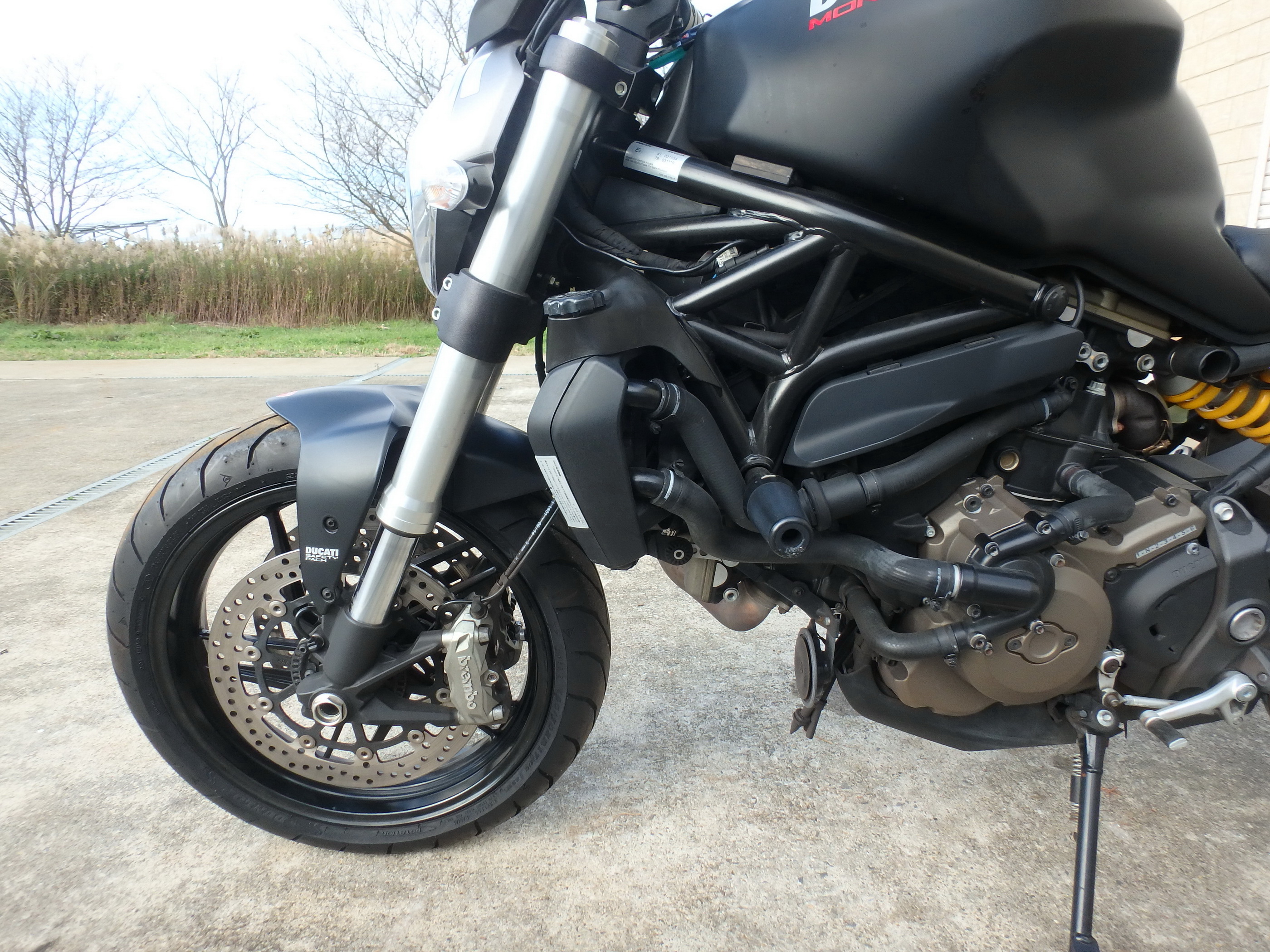 Купить мотоцикл Ducati Monster821A M821A 2014 фото 14